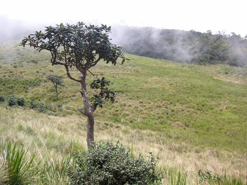 World's End, The Hill Country, Sri Lanka